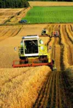 Українським селянам дозволили реєструвати сімейні фермерські господарства