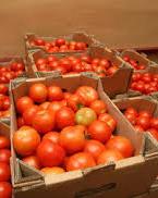 Україна на 100% вичерпала квоти на експорт низки продуктів до ЄС