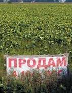 ЄСПЛ зобов'язав Україну скасувати мораторій на продаж землі