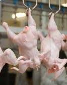 ЄC частково зняв заборону на експорт української курятини