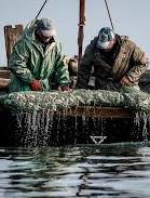 Українських рибалок, затриманих ФСБ в Азовському морі, звільнили — депутат