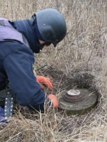 В районі Петрівського розмінували 12 гектарів території