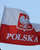 Прокуратура Польщі розпочала слідство через інцидент в Луцьку