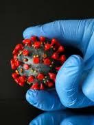 Звіт США підтвердив ймовірність витоку коронавірусу з уханської лабораторії