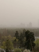 Київ затягнуло димом із зони ЧАЕС, містян просять зачинити вікна і не виходити