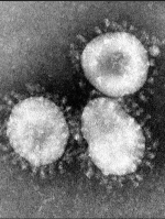 В Україні вже 156 заражених коронавірусом, 5 померлих