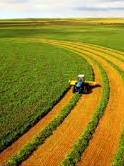 Виробництво агропродукції в Україні цьогоріч впало на 10%