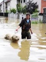 Прикарпаття просить 500 мільйонів на ліквідацію наслідків стихії (відео)