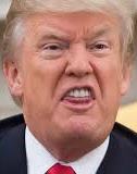 Трамп заявив, що обмовився на зустрічі з Путіним (відео)