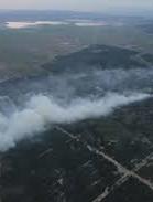 На Херсонщині ліквідували велику лісову пожежу