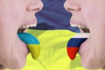 "Батьківщина" спробує скасувати "язык"