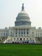 У Білому домі підтвердили підготовку зустрічі Трампа з Путіним