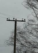 Через негоду знеструмлено 20 населених пунктів