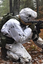 Окупанти обстріляли позиції ЗСУ біля Новотошківського, Лебединського та Березового