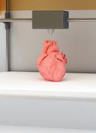 Український стартап друкуватиме людські кістки та органи на 3D-принтері (відео)