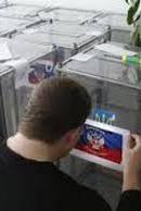 В "ЛНР" призначили псевдовибори на 1 листопада (документ)