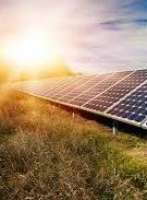 Сонячну електростанцію у Чорнобильській зоні хочуть будувати японці