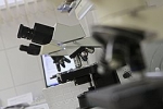 Уряд своїм бюджетом штовхає Нацакадемію на масові звільнення