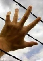 Депутати надали засудженим право користуватись інтернетом