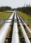 Польща зупинила транзит російської нафти через погану якість