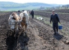 Депутати зробили вигляд, що продовжили мораторій на землю