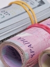 До бюджету за пів року надійшло понад 131 мільярд ЄСВ