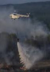Чечоткін назвав причину пожежі в Чорнобильській зоні
