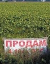 ЄСПЛ зобов'язав Україну скасувати мораторій на продаж землі