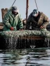 Українських рибалок, затриманих ФСБ в Азовському морі, звільнили — депутат