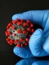 Звіт США підтвердив ймовірність витоку коронавірусу з уханської лабораторії