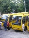 Уряд цьогоріч планує закупити 600 шкільних автобусів