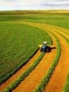 Виробництво агропродукції в Україні цьогоріч впало на 10%