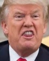 Трамп заявив, що обмовився на зустрічі з Путіним (відео)
