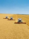 Уряд підтримає аграріїв у 2017 році, але не всіх