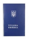 У Кабміні сподіваються до кінця року скасувати обов'язковість трудових книжок