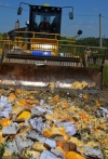 В Криму знищили майже дві тонни санкційних овочів і фруктів