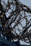 Десятьох кримських татар етапують із ростовського СІЗО у невідомому напрямку