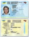 Українцям тимчасово не видаватимуть водійські права