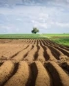 Проти продажу землі - 73% українців