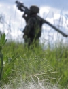Окупанти 14 разів зривали "тишу", один військовий ЗСУ загинув, один поранений