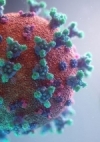 За минулу добу, 13 жовтня, в Україні зафіксовано 5 590 випадків коронавірусу