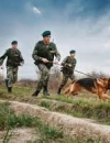 На Закарпатті затримали декілька груп нелегалів із Сомалі та Афганістану (ФОТО)