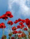 Україна відзначає День пам'яті та примирення