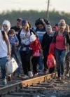 На Україну чекає наплив мігрантів через "закриття" Євросоюзу – прикордонники