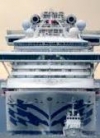 Кількість інфікованих на Diamond Princess українців зросла до чотирьох — МЗС
