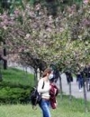 Карантин в Україні продовжили до 22 травня, але з 11 травня – пом’якшення