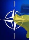 ПА дала старт "відпрацюванню" алгоритму членства України в НАТО
