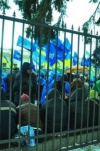 У Маріїнському парку Партія регіонів "будує Європу в Україні"
