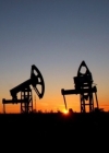 Нафта дешевшає через зростання запасів у США