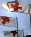 Російська сторона приховує від Червоного Хреста вміст "гуманітарки"